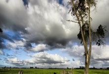 高准翼：计划保平争胜但有些意外情况 红牌后大家说挺过上半场.